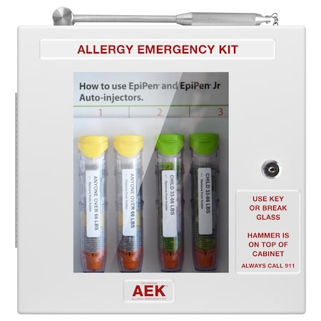 Aek Allergy Emergency Kit Lunchroom  Corridor Epinephrine Cabinet Locking EN9337